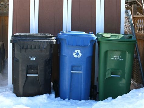 city of calgary bin request.